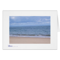 bliss see ya memory card