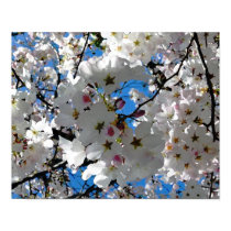 Blissful Blossoms Poster posters by LorrieM Blissful Blossoms Poster posters