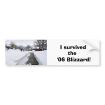 Blizzard Aftermath Bumper Stickers
