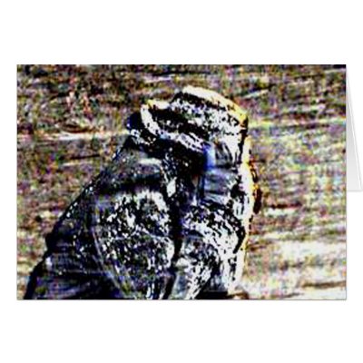 Blizzard! Greeting Cards by kchwxdr