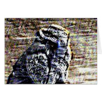 Blizzard! cards by kchwxdr Blizzard! cards