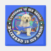 Blizzard Name magnet