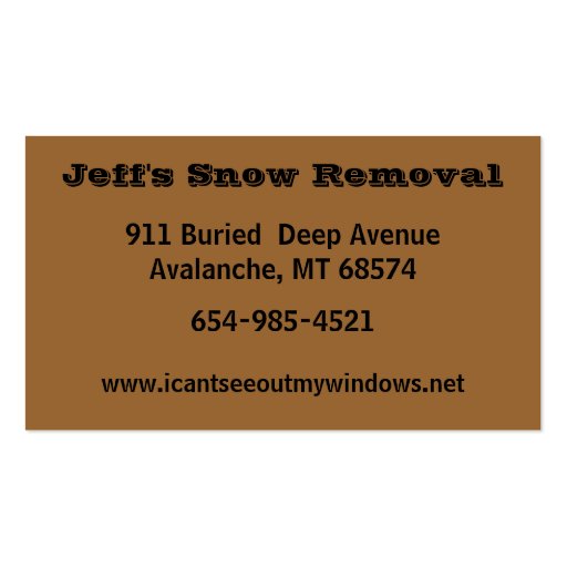 Blizzard of 2009 business card (back side)