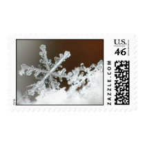 Blizzard of 2009 stamps