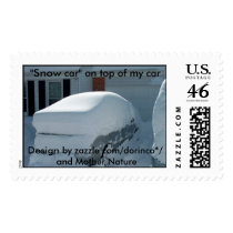 Blizzard of 2010, 2/6/2010 postage
