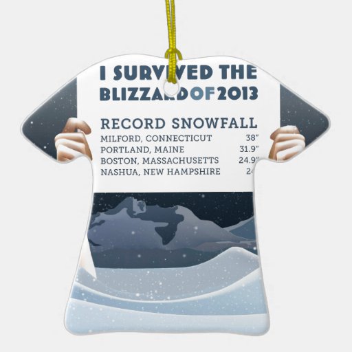 Blizzard of 2013 Survivor Ornament