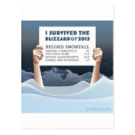 Blizzard of 2013 Survivor Postcard