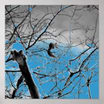 Blizzard Squirel B+W Posters