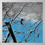Blizzard Squirel B+W Posters