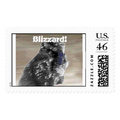 Blizzardman1, Blizzard! Postage Stamp by kchwxdr