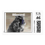 Blizzardman1, Blizzard! postage