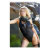 swimsuit, swimwear, bathingsuit, one piece