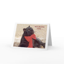 Blk Leopard holiday bow cards by rescue_ranch Blk Leopard holiday bow cards