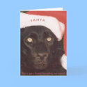 Blk Leopard Santa cards by rescue_ranch Blk Leopard Santa cards