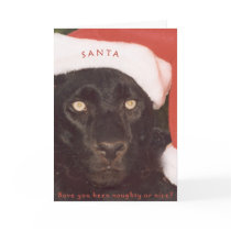 Blk Leopard Santa cards by rescue_ranch Blk Leopard Santa cards
