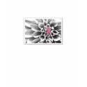 Blk/Wht Pink Ribbon Flora T-Shirt