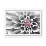 Blk & Wht/Pink Ribbon Postcard