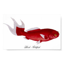 Bloch Goldfish poster posters by Lisachromis Bloch Goldfish poster posters