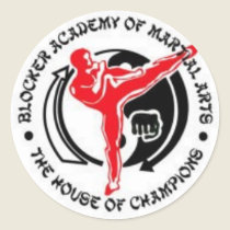 Blocker Academy of Martial Arts Sticker by snakeblocker Blocker Academy of Martial Arts Sticker