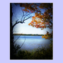 Blockhouse Lake Park Falls Wisconsin Postcard postcards