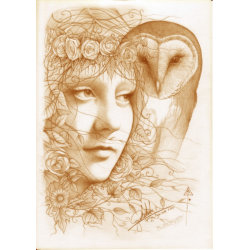 Blodeuwedd print