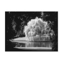 Bloedel Reserve postcards
