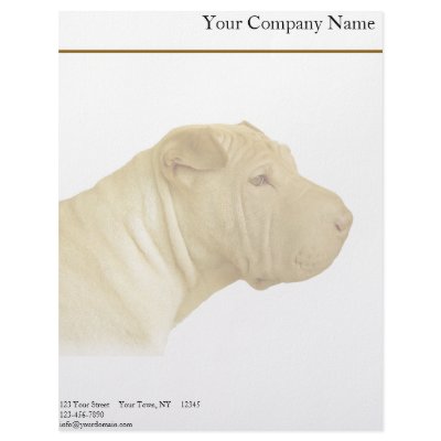 Blonde Shar Pei Portrait on White Letterhead Template by BeSeenBranding
