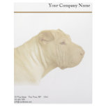 Blonde Shar Pei Portrait on White Letterhead Template