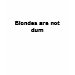 EDUN LIVE Genesis Unisex Standard Crew