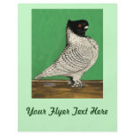 Blondinette Frill Pigeon Personalized Flyer