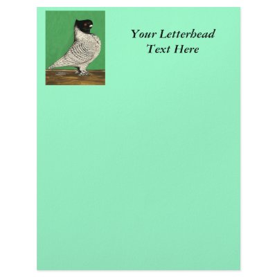 Blondinette Frill Pigeon Custom Letterhead by diane_jacky