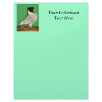 Blondinette Frill Pigeon Custom Letterhead