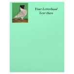 Blondinette Frill Pigeon Custom Letterhead