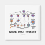 Blood Cell Lineage (Biology Health Medicine) Refrigerator Magnets
