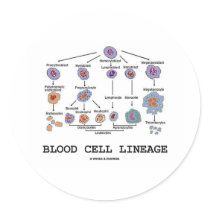 Blood Cell Lineage (Biology Health Medicine) Round Stickers