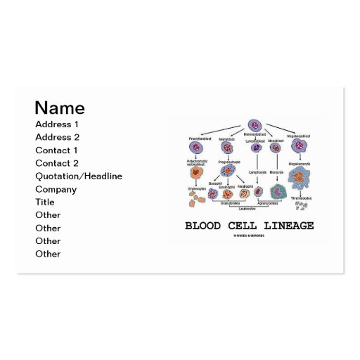 Blood Cell Lineage (Hematology) Business Cards