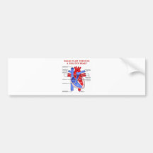 BLOOD FLOW BUMPER STICKERS