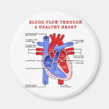 BLOOD FLOW FRIDGE MAGNETS