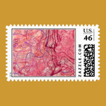 Blood Flow stamps