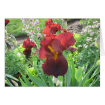 Blood Iris Card cards