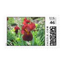 Blood Iris Stamp by tkrysak Blood Iris Stamp