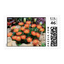 Blood Lily postage