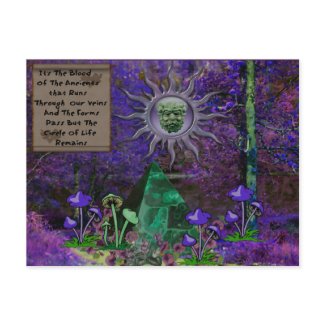 Blood of the Ancients postcard