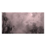 Blood Red Haunted Sky with Ravens Photo Card