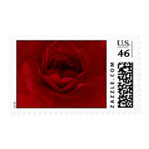 Blood Red Rose Postage Stamps stamps