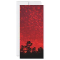 Blood Sky rack cards