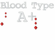 Blood Type A+ Embroidered Tee embroidered shirts