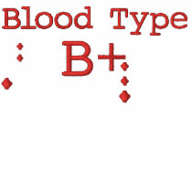 Blood Type B+ Embroidered Hoodie embroidered shirts