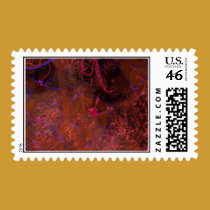 Blood Vessels stamps
