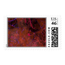 Blood Vessels Postage